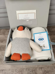 Snuggle Baby Hamper