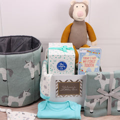 Luxury Baby Hamper - Boy